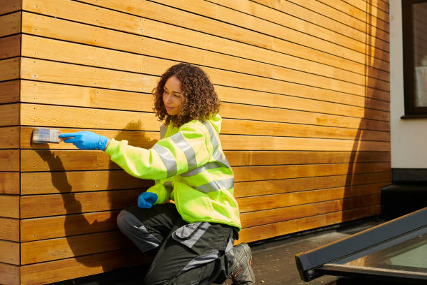 Best Aluminum Siding Installation  in Dry Ridge, KY